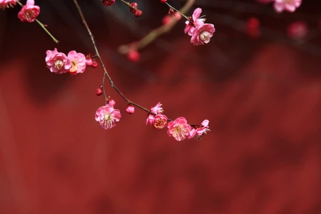 有一种爱，叫一生一世，不离不弃